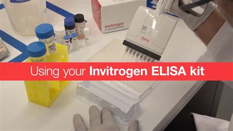 invitrogen elisa kit protocol